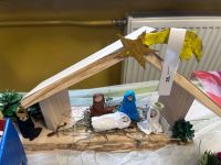 II miejsce: W. Dziatkowicz